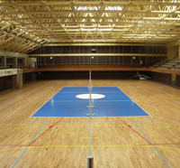parquet Vincennes Centre Sportif Georges Pompidou 4