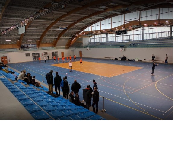 sol sportif Combiflex SENS Gymnase Roger Breton